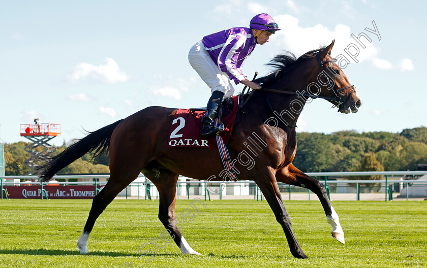 Illinois-0001 
 ILLINOIS (Ryan Moore) winner of The Prix Chaudenay
Longchamp 5 Oct 2024 - Pic Steven Cargill / Racingfotos.com