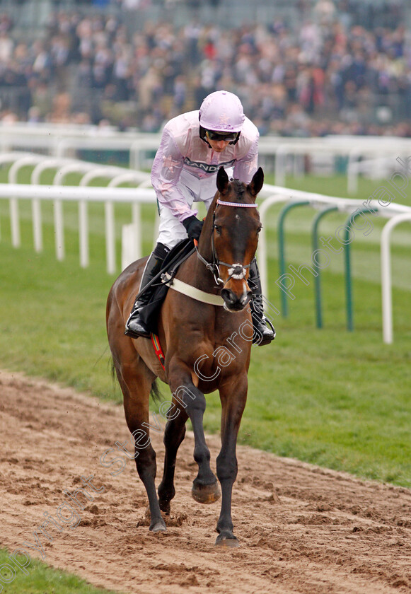 Global-Citizen-0001 
 GLOBAL CITIZEN (Daryl Jacob) Aintree 13 Apr 2018 - Pic Steven Cargill / Racingfotos.com