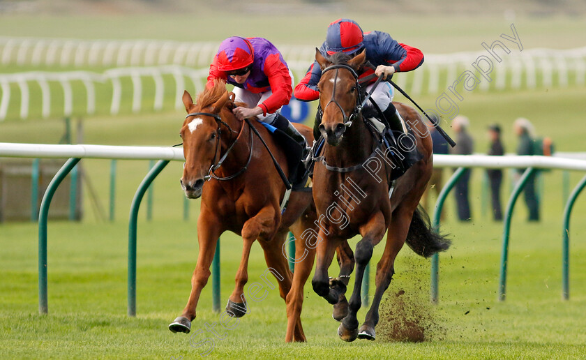 Misty-Sky-0005 
 MISTY SKY (right, Aidan Keeley) beats WITH ZEST (left) in The Prestige Vehicles Fillies Restricted Novice Stakes
Newmarket 23 Oct 2024 - Pic Steven Cargill / Racingfotos.com