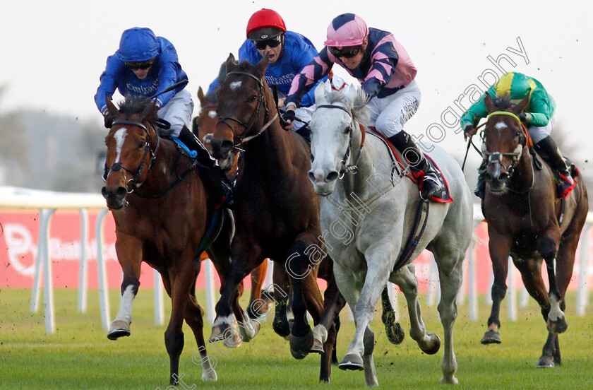 Lord-Glitters-0008 
 LORD GLITTERS (right, Jason Watson) beats BARNEY ROY (left) and MAGNY COURS (centre) in The Bahrain International Trophy
Sakhir Racecourse, Bahrain 19 Nov 2021 - Pic Steven Cargill / Racingfotos.com