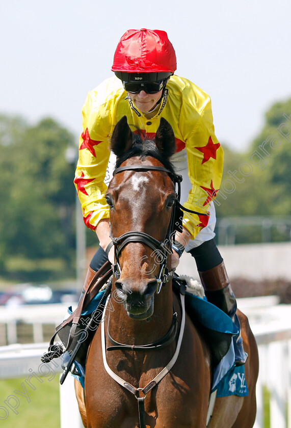 Highwaygrey-0001 
 HIGHWAYGREY (Sean Kirrane)
York 16 Jun 2023 - Pic Steven Cargill / Racingfotos.com