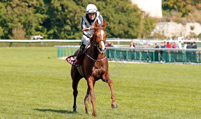 Albigna-0009 
 ALBIGNA (Shane Foley) after The Qatar Prix Marcel Boussac
Longchamp 6 Oct 2019 - Pic Steven Cargill / Racingfotos.com