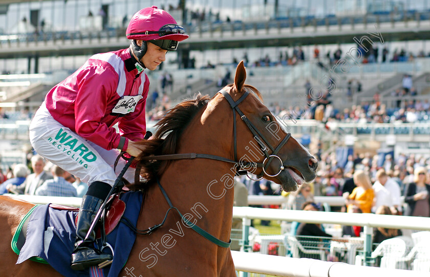 El-Astronaute-0001 
 EL ASTRONAUTE (Jason Hart)
Doncaster 11 Sep 2019 - Pic Steven Cargill / Racingfotos.com