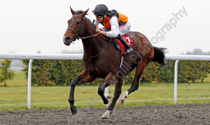 Teppal-0005 
 TEPPAL (Jamie Spencer) wins The Matchbook British Stallion Studs EBF Fillies Novice Stakes Div1 Kempton 25 Sep 2017 - Pic Steven Cargill / Racingfotos.com