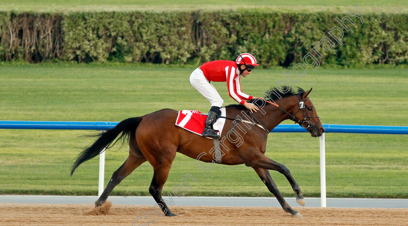 Salute-The-Soldier-0008 
 SALUTE THE SOLDIER (Adrie De Vries) wins The Burj Nahaar
Meydan 7 Mar 2020 - Pic Steven Cargill / Racingfotos.com