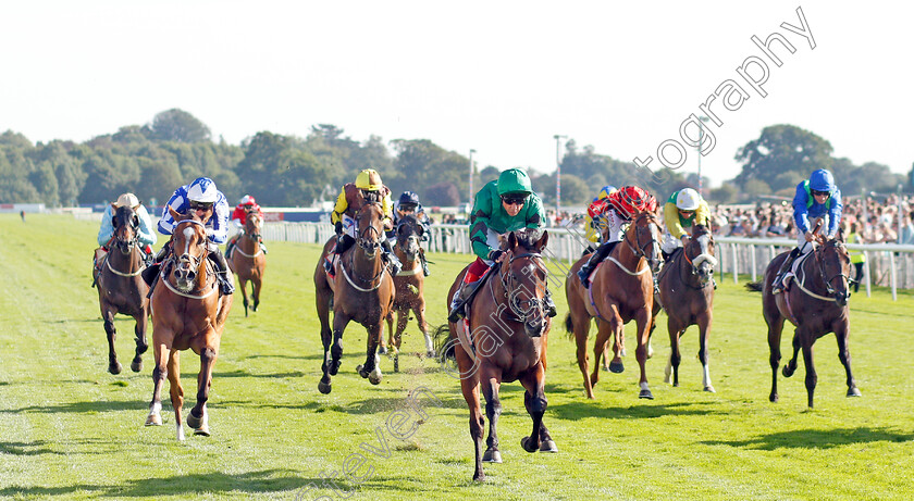 Forest-Of-Dean-0001 
 FOREST OF DEAN (Frankie Dettori) wins The Sky Bet Handicap
York 24 Aug 2019 - Pic Steven Cargill / Racingfotos.com