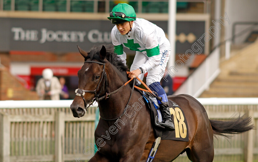 Too-Bossy-For-Us-0001 
 TOO BOSSY FOR US (Benoit de la Sayette)
Newmarket 28 Sep 2023 - Pic Steven Cargill / Racingfotos.com