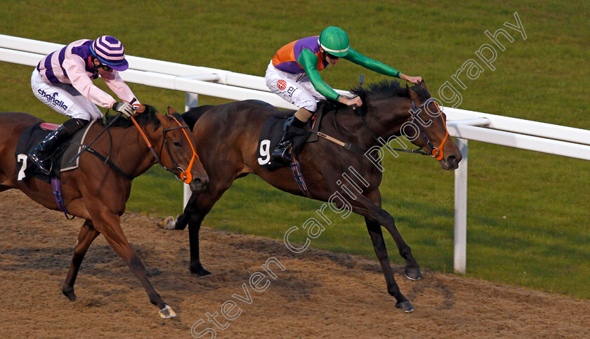 Episcia-0005 
 EPISCIA (right, Aaron Jones) beats GHEPARDO (left) in The Bet toteJackpot At betfred.com Novice Auction Stakes Chelmsford 26 Sep 2017 - Pic Steven Cargill / Racingfotos.com