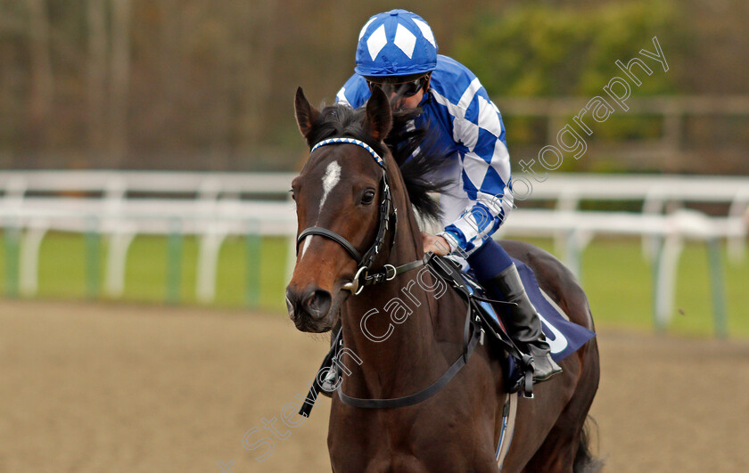 Elhafei-0001 
 ELHAFEI (Jim Crowley) Lingfield 21 Nov 2017 - Pic Steven Cargill / Racingfotos.com