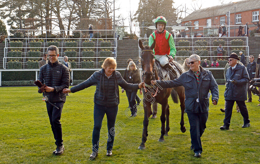 Le-Patriote-0005 
 LE PATRIOTE (Brian Hughes) after The Ascot Spring Garden Show Handicap Hurdle Ascot 17 Feb 2018 - Pic Steven Cargill / Racingfotos.com