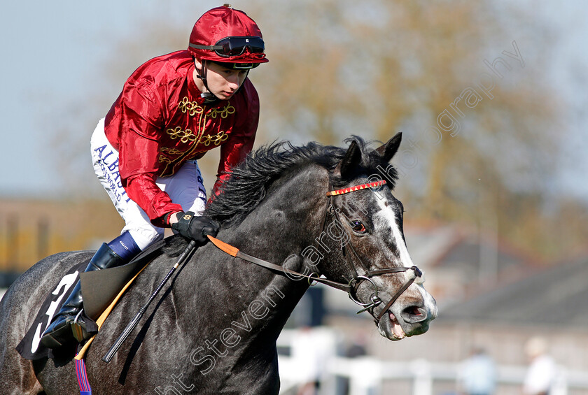 Blazing-Tunder-0002 
 BLAZING TUNDER (Oisin Murphy) Newbury 20 Apr 2018 - Pic Steven Cargill / Racingfotos.com