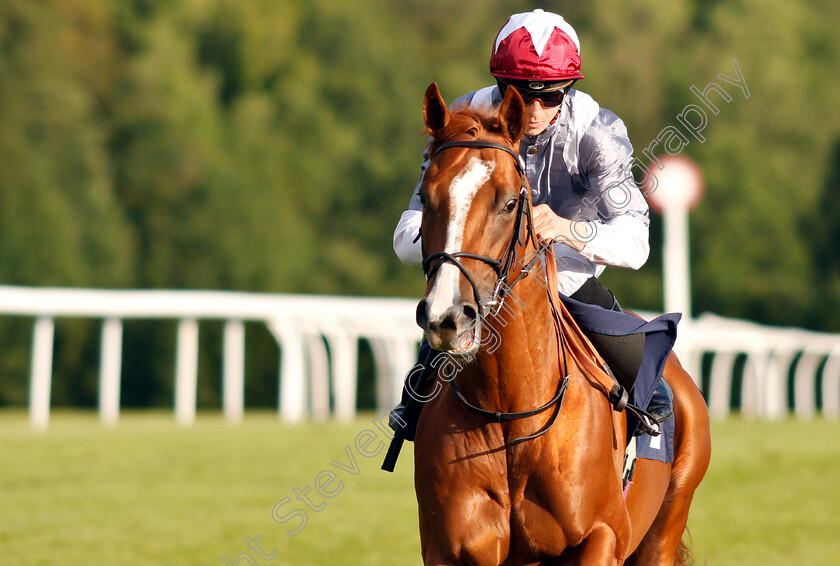 Numinous-0002 
 NUMINOUS (David Probert)
Chepstow 2 Jul 2019 - Pic Steven Cargill / Racingfotos.com