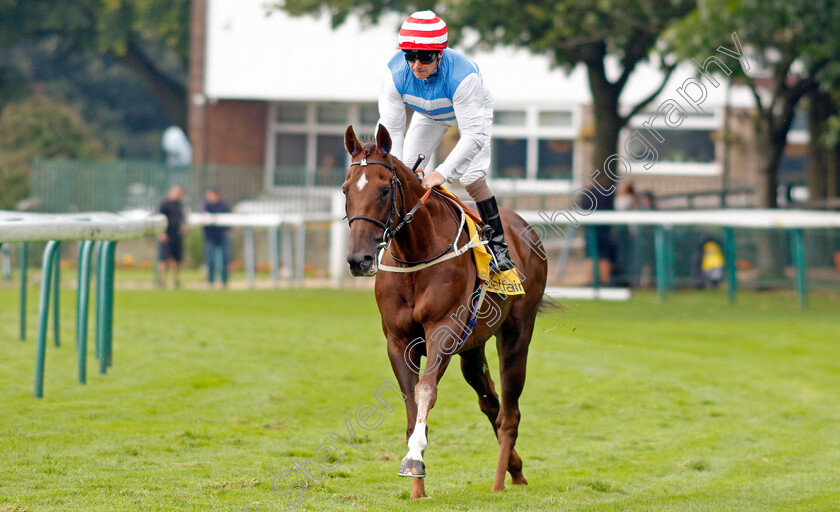 Knightswood-0001 
 KNIGHTSWOOD (Joe Fanning)
Haydock 7 Sep 2024 - Pic Steven Cargill / Racingfotos.com