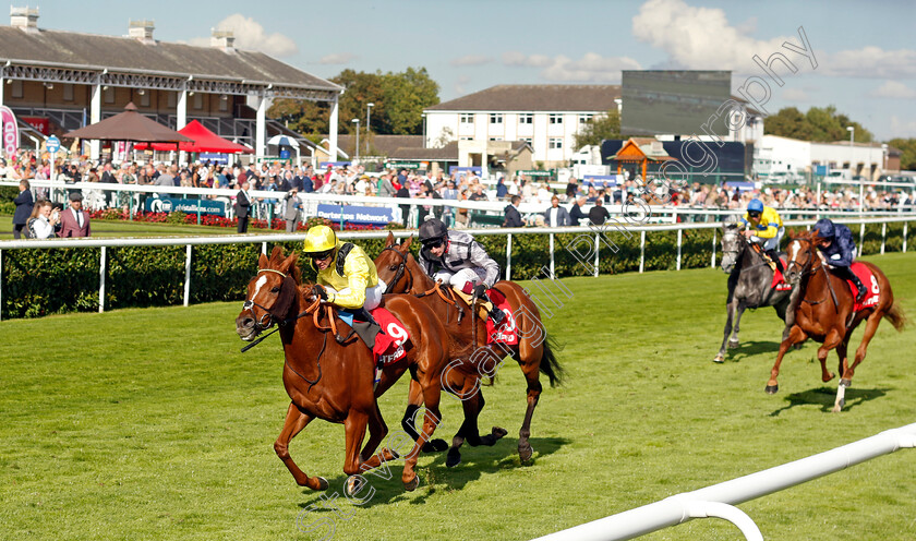 Nakheel-0004 
 NAKHEEL (Jim Crowley) wins The Betfred Park Hill Stakes
Doncaster 12 Sep 2024 - Pic Steven Cargill / Racingfotos.com