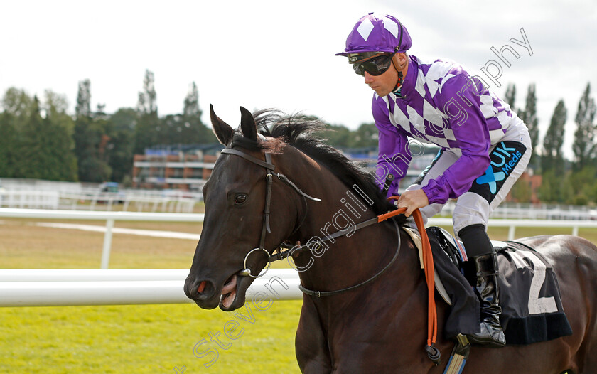 Burning-0001 
 BURNING (Stevie Donohoe)
Newbury 6 Aug 2019 - Pic Steven Cargill / Racingfotos.com