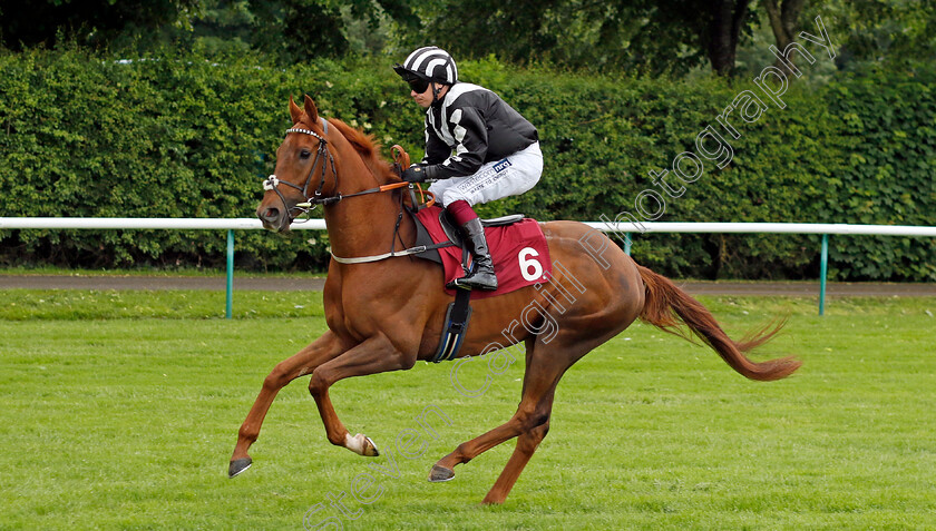 Dandy-Lichious-0001 
 DANDY LICHIOUS (Andrew Mullen)
Haydock 24 May 2024 - Pic Steven cargill / Racingfotos.com