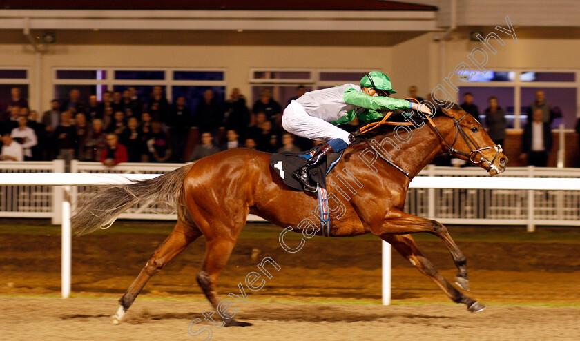 Artieshow-0003 
 ARTIESHOW (Daniel Muscutt) Chelmsford 21 Dec 2017 - Pic Steven Cargill / Racingfotos.com