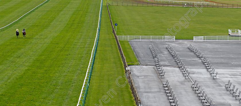 Solo-Saxophone-0002 
 SOLO SAXOPHONE (left, Ryan Moore) beats ALFREDO (right) in 2-runner The Mansionbet Watch And Bet Handicap
Newmarket 30 Oct 2020 - Pic Steven Cargill / Racingfotos.com