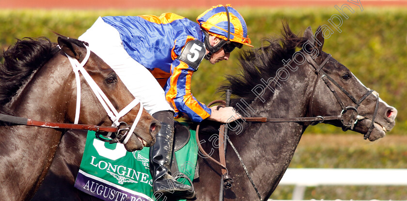 Auguste-Rodin-0006 
 AUGUSTE RODIN (Ryan Moore) wins The Breeders' Cup Turf
Santa Anita 4 Nov 2023 - pic Steven Cargill / Racingfotos.com