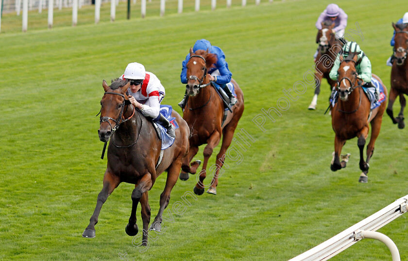 Deauville-Legend-0003 
 DEAUVILLE LEGEND (Daniel Muscutt) wins The Sky Bet Great Voltigeur Stakes
York 17 Aug 2022 - Pic Steven Cargill / Racingfotos.com