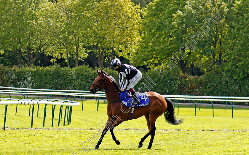 Keep-Busy-0001 
 KEEP BUSY (Oisin Murphy)
Haydock 22 May 2021 - Pic Steven Cargill / Racingfotos.com