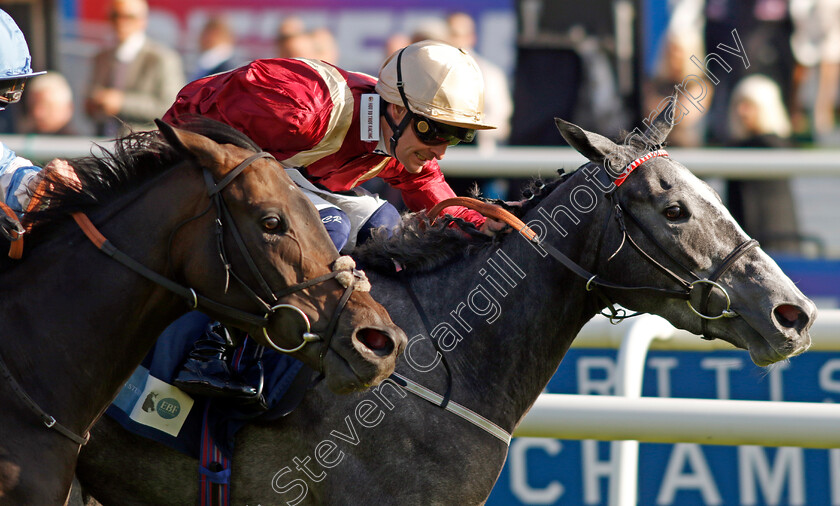 Cabrera-0002 
 CABRERA (Callum Rodriguez)
Doncaster 13 Sep 2024 - Pic Steven Cargill / Racingfotos.com