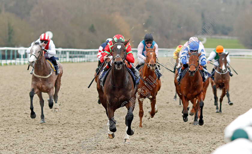 Cable-Speed-0005 
 CABLE SPEED (Ben Curtis) wins The Ladbrokes Where The Nation Plays Novice Median Auction Stakes Div1
Lingfield 4 Jan 2020 - Pic Steven Cargill / Racingfotos.com