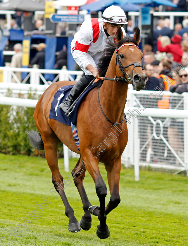 Asean-Legend-0002 
 ASEAN LEGEND (Tom Marquand)
Chester 4 May 2022 - Pic Steven Cargill / Racingfotos.com