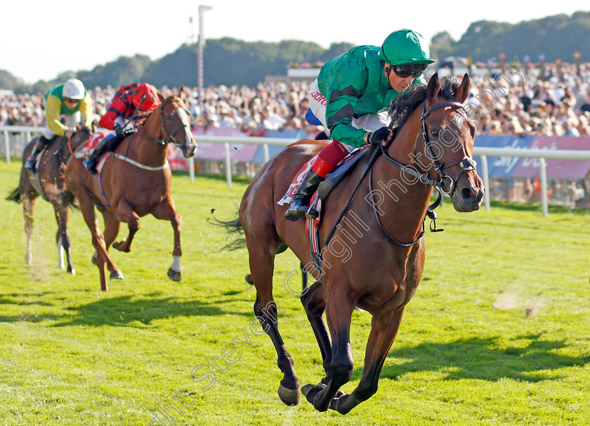 Forest-Of-Dean-0004 
 FOREST OF DEAN (Frankie Dettori) wins The Sky Bet Handicap
York 24 Aug 2019 - Pic Steven Cargill / Racingfotos.com