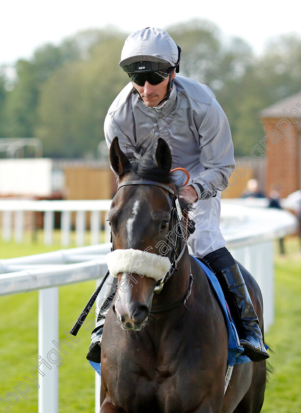 Match-Play-0001 
 MATCH PLAY (Daniel Tudhope)
York 12 May 2022 - Pic Steven Cargill / Racingfotos.com