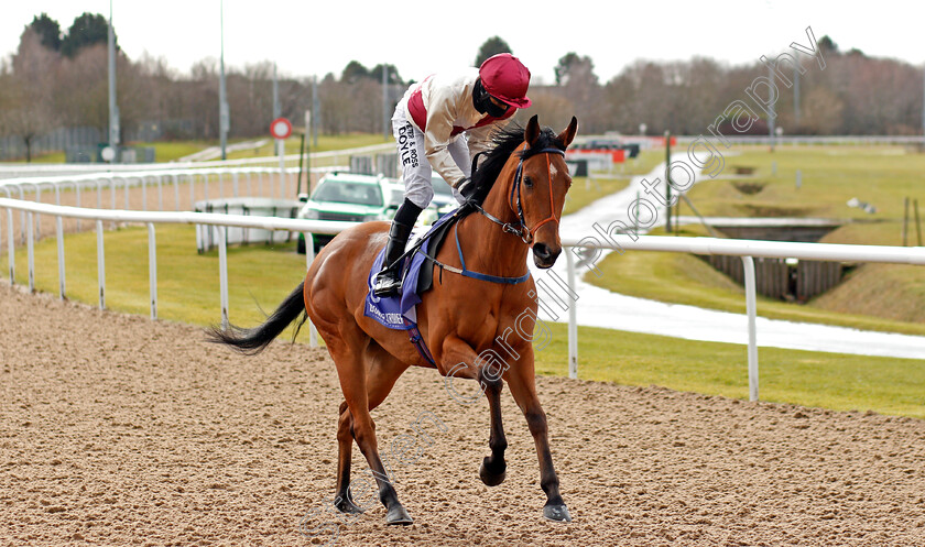 Belle-Anglaise-0001 
 BELLE ANGLAISE (Sean Levey)
Wolverhampton 13 Mar 2021 - Pic Steven Cargill / Racingfotos.com