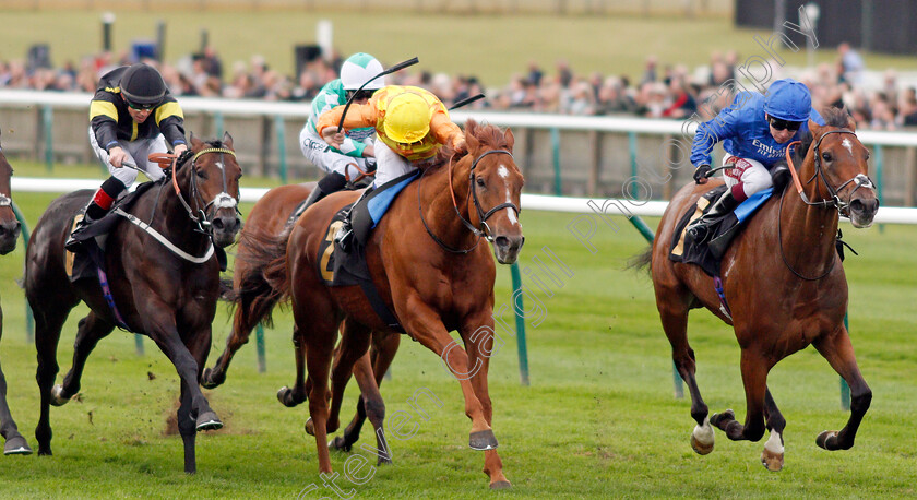 Dubai-Legacy-0003 
 DUBAI LEGACY (Oisin Murphy) beats SPANISH CITY (centre) and VITRALITE (left) in The Newmarket Journal And Velvet Magazine Handicap
Newmarket 28 Sep 2019 - Pic Steven Cargill / Racingfotos.com