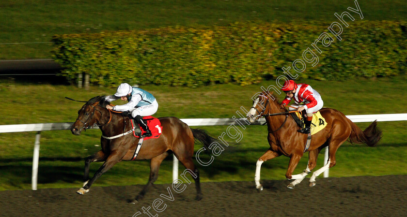 Intuitive-0002 
 INTUITIVE (P J McDonald) beats KIMIFIVE (right) in The 32Red Handicap
Kempton 9 Oct 2019 - Pic Steven Cargill / Racingfotos.com