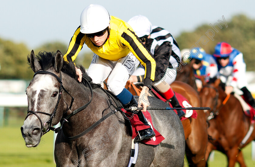 Luncies-0009 
 LUNCIES (Callum Shepherd) wins The Watch Racing On Betfair For Free Handicap
Haydock 4 Sep 2020 - Pic Steven Cargill / Racingfotos.com