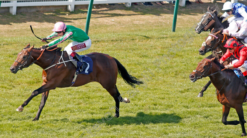 Gobi-Sunset-0002 
 GOBI SUNSET (Oisin Murphy) wins The Ken Lindsay Memorial Nursery
Yarmouth 19 Sep 2019 - Pic Steven Cargill / Racingfotos.com