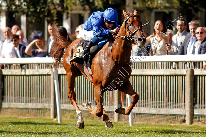 Quintillus-0003 
 QUINTILLUS (William Buick) wins The Watch Every Race Live On Racingtv Handicap
Newmarket 7 Aug 2021 - Pic Steven Cargill / Racingfotos.com