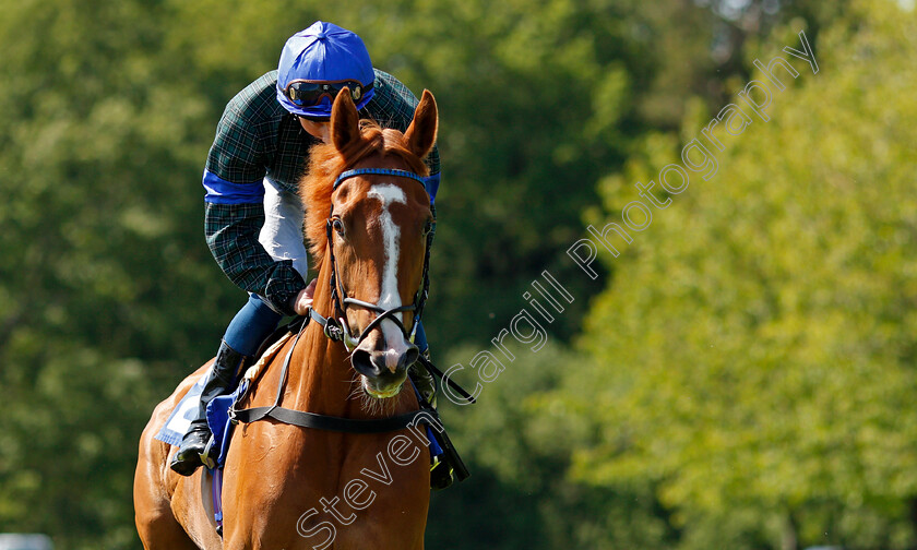 Mirage-Mac-0001 
 MIRAGE MAC (William Buick)
Saslisbury 8 Jun 2021 - Pic Steven Cargill / Racingfotos.com