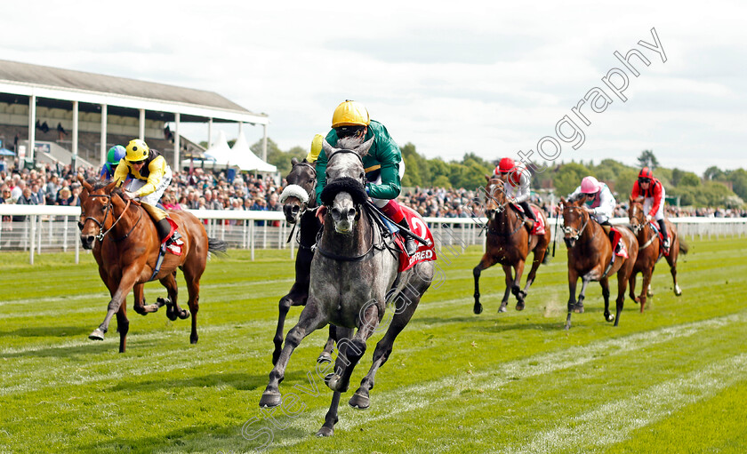 Coronet-0003 
 CORONET (Frankie Dettori) wins The Betfred Middleton Stakes York 17 May 2018 - Pic Steven Cargill / Racingfotos.com