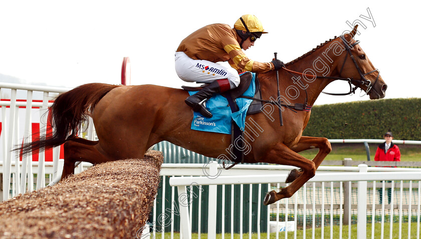 Imperial-Presence-0001 
 IMPERIAL PRESENCE (Richard Johnson)
Cheltenham 17 Apr 2019 - Pic Steven Cargill / Racingfotos.com