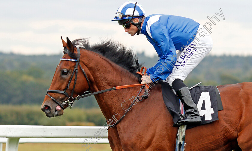 Faylaq-0002 
 FAYLAQ (Dane O'Neill)
Ascot 5 Oct 2019 - Pic Steven Cargill / Racingfotos.com