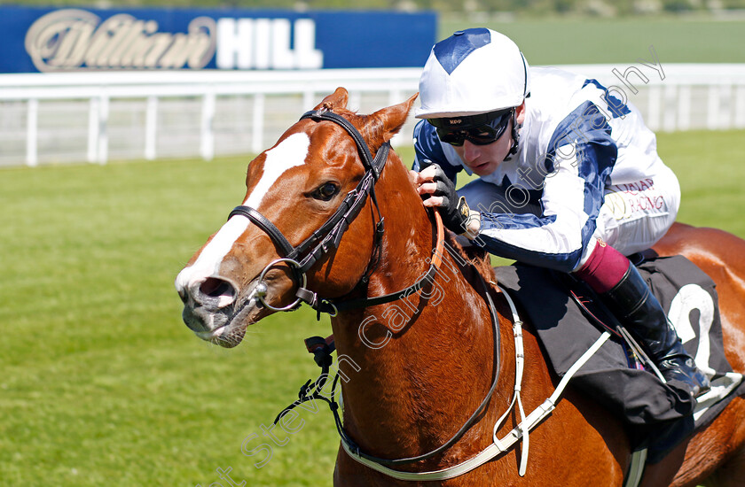 Barnwell-Boy-0001 
 BARNWELL BOY (Oisin Murphy) wins The William Hill / British EBF Novice Stakes
Goodwood 26 May 2023 - Pic Steven Cargill / Racingfotos.com