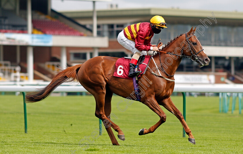 Outback-Boy-0001 
 OUTBACK BOY (Andrea Azteni)
Haydock 3 Sep 2020 - Pic Steven Cargill / Racingfotos.com