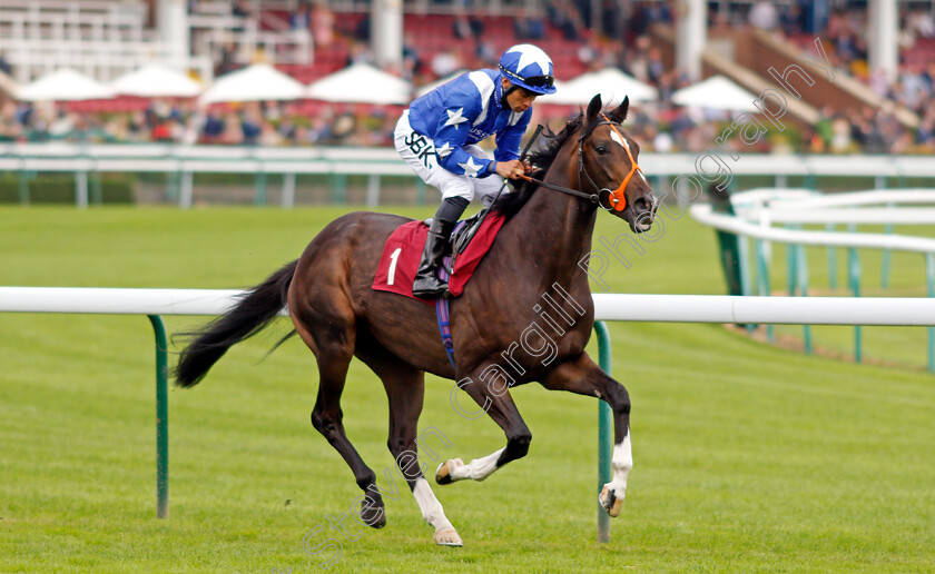 Dukebox-0001 
 DUKEBOX (Sean Levey)
Haydock 4 Sep 2021 - Pic Steven Cargill / Racingfotos.com