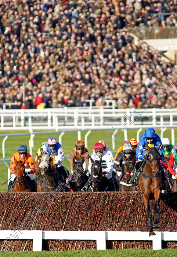 Solstice-Son-0003 
 SOLSTICE SON (Will Biddick) leads the field at Cheltenham 17 Nov 2017 - Pic Steven Cargill / Racingfotos.com