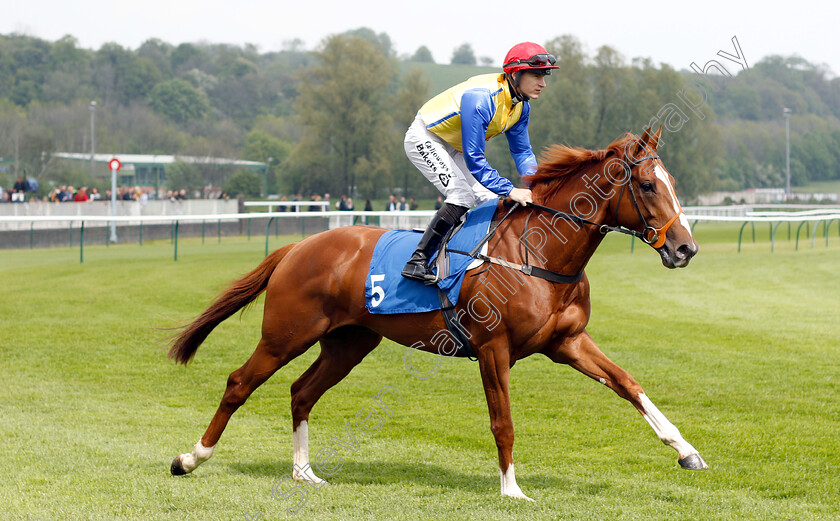 Rhythmic-Intent-0001 
 RHYTHMIC INTENT (Richard Kingscote)
Nottingham 30 Apr 2019 - Pic Steven Cargill / Racingfotos.com