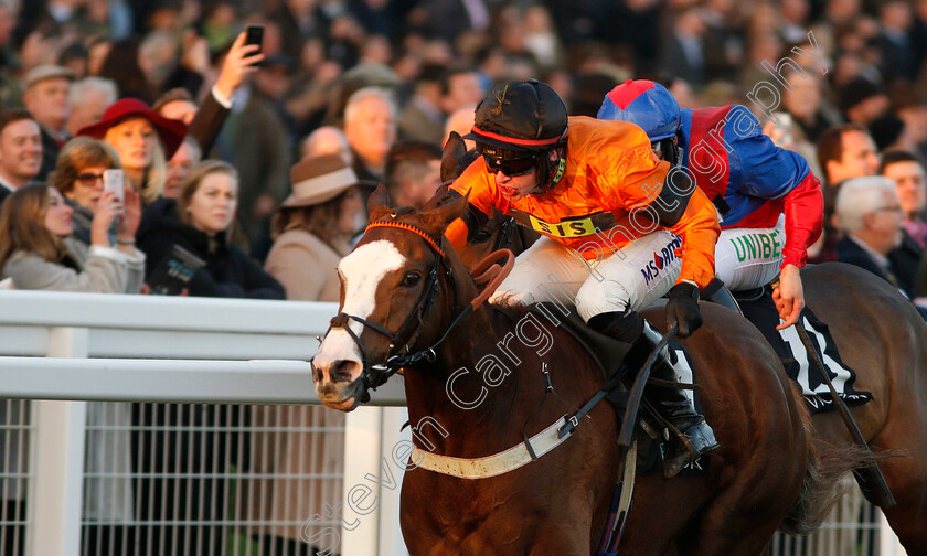 Speedo-Boy-0003 
 SPEEDO BOY (Tom O'Brien) wins The BetVictor Intermediate Handicap Hurdle
Cheltenham 17 Nov 2018 - Pic Steven Cargill / Racingfotos.com