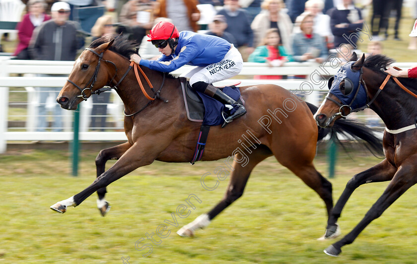 Camachess-0003 
 CAMACHESS (Phil Dennis) wins The Thanks Jan Leeder And Best Wishes Handicap
Yarmouth 23 Apr 2019 - Pic Steven Cargill / Racingfotos.com