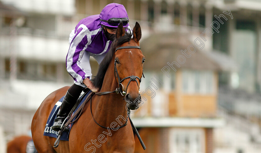 Snowfall-0002 
 SNOWFALL (Ryan Moore) winner of The Tattersalls Musidora Stakes
York 12 May 2021 - Pic Steven Cargill / Racingfotos.com