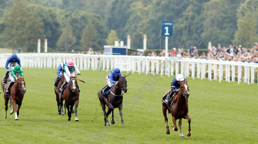 Flashcard-0001 
 FLASHCARD (Oisin Murphy) wins The Porsche Handicap
Ascot 27 Jul 2019 - Pic Steven Cargill / Racingfotos.com