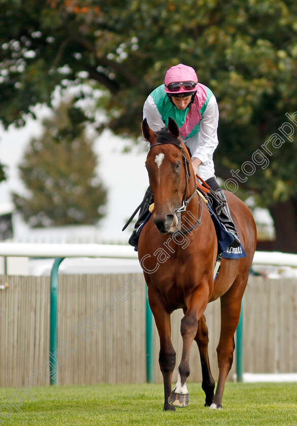 Nostrum-0010 
 NOSTRUM (Ryan Moore) winner of The Tattersalls Stakes
Newmarket 22 Sep 2022 - Pic Steven Cargill / Racingfotos.com